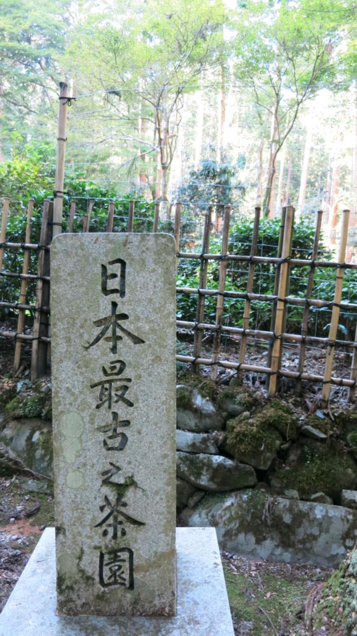 京都Ume House / Ume Upstairs公寓 外观 照片